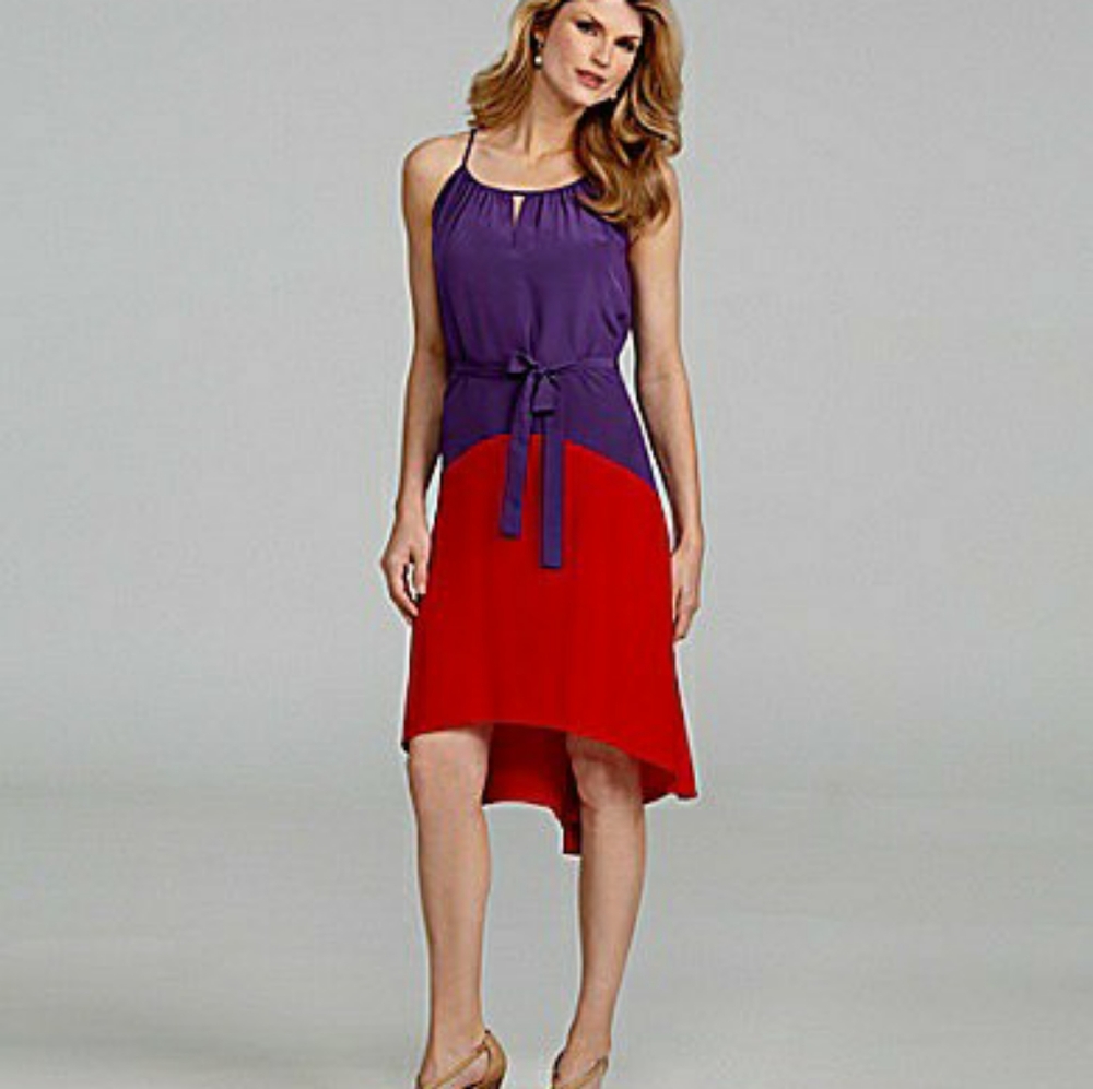 Antonio Melani Colorblock Hi-Low Dress